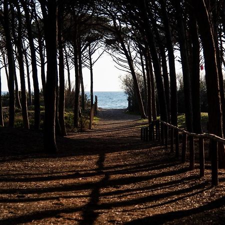 Appartamento Il Bucaniere A Marina Di Cecina Zewnętrze zdjęcie