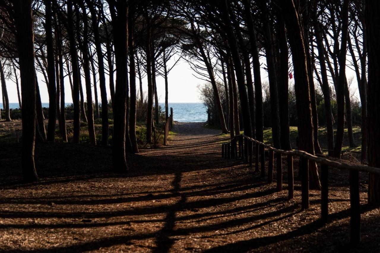 Appartamento Il Bucaniere A Marina Di Cecina Zewnętrze zdjęcie